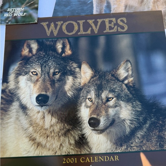 2000 & 2001 Wolves Themed Calendars & National Geographic Magazine - Picture 5 of 14